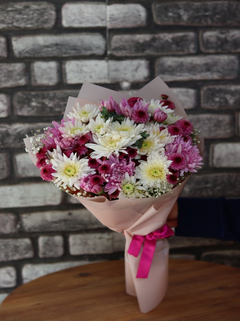 Kasımpatı Pinkflor