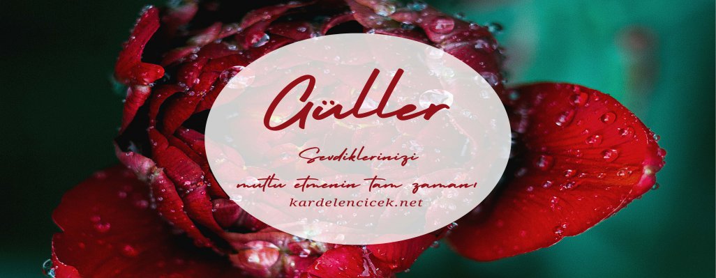 Güller