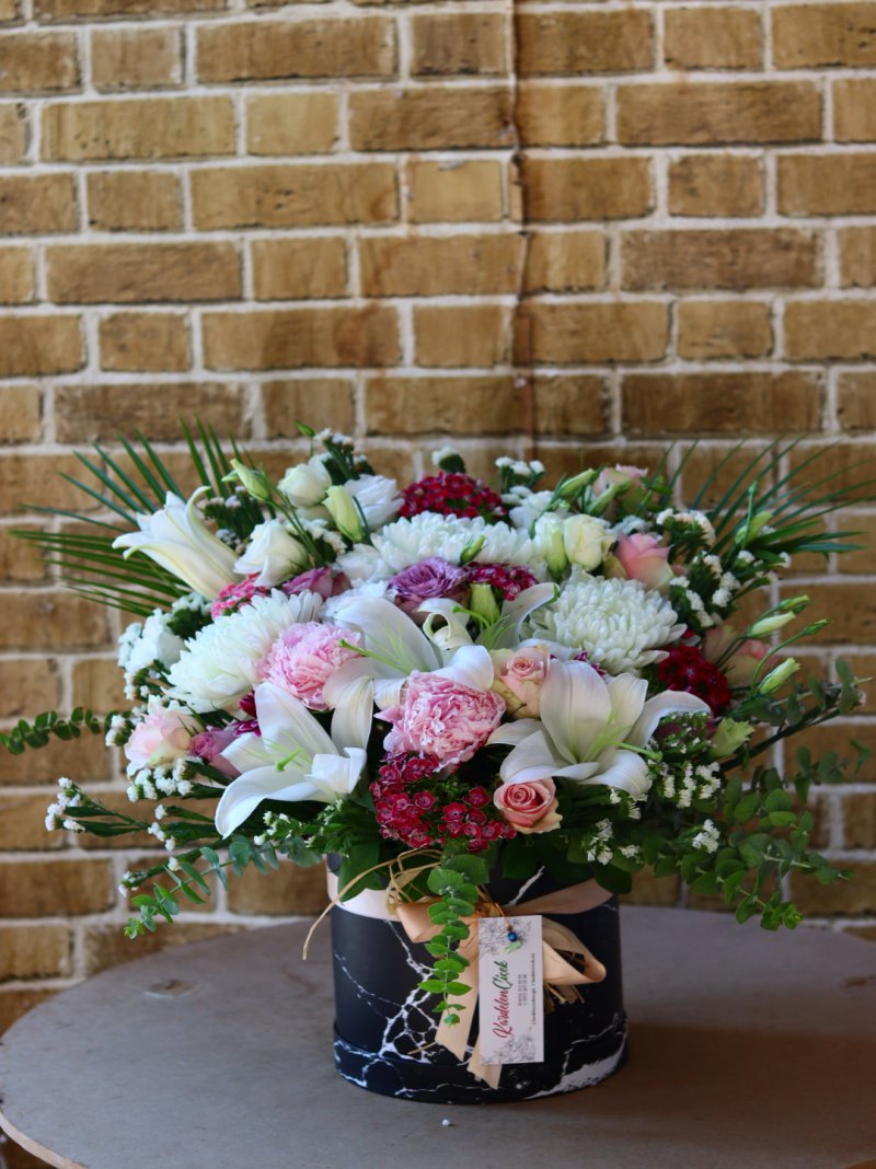 Salix Fresh Box Kutu