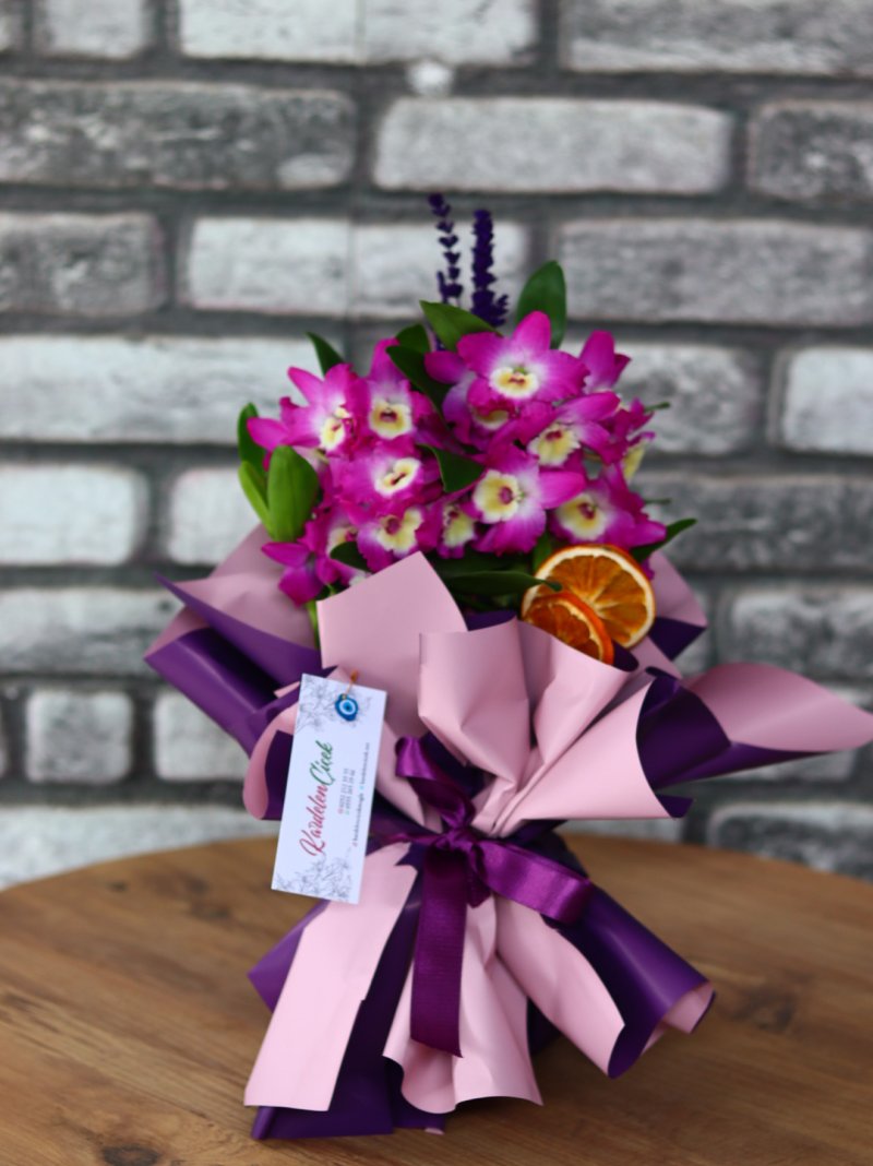 Multiflor Orkide Mor