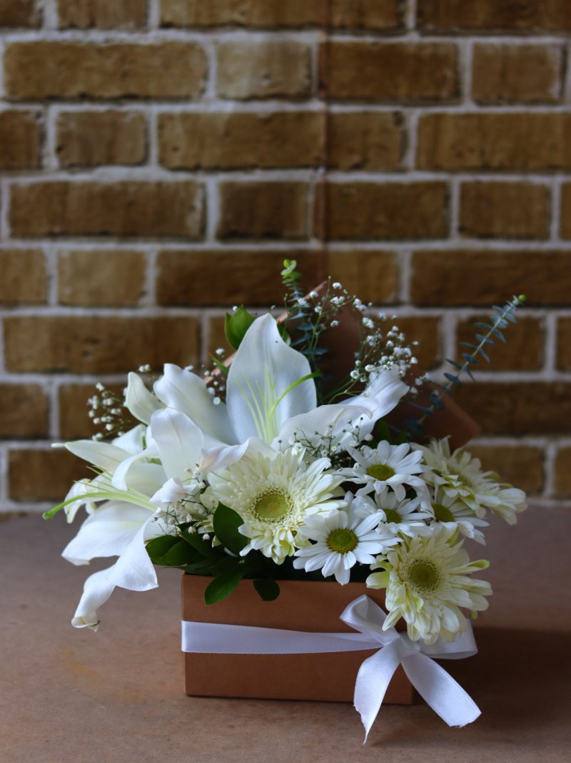Bemix Box White