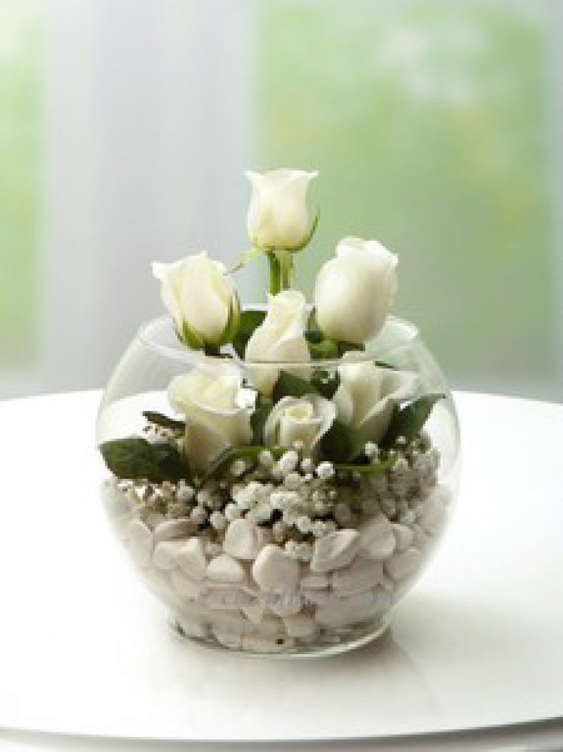 Akvaryum Vazo Beyaz Güller