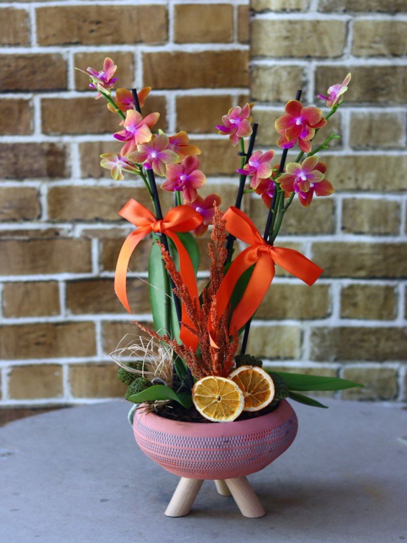 Orkide Multiflor Turuncu Ouartz