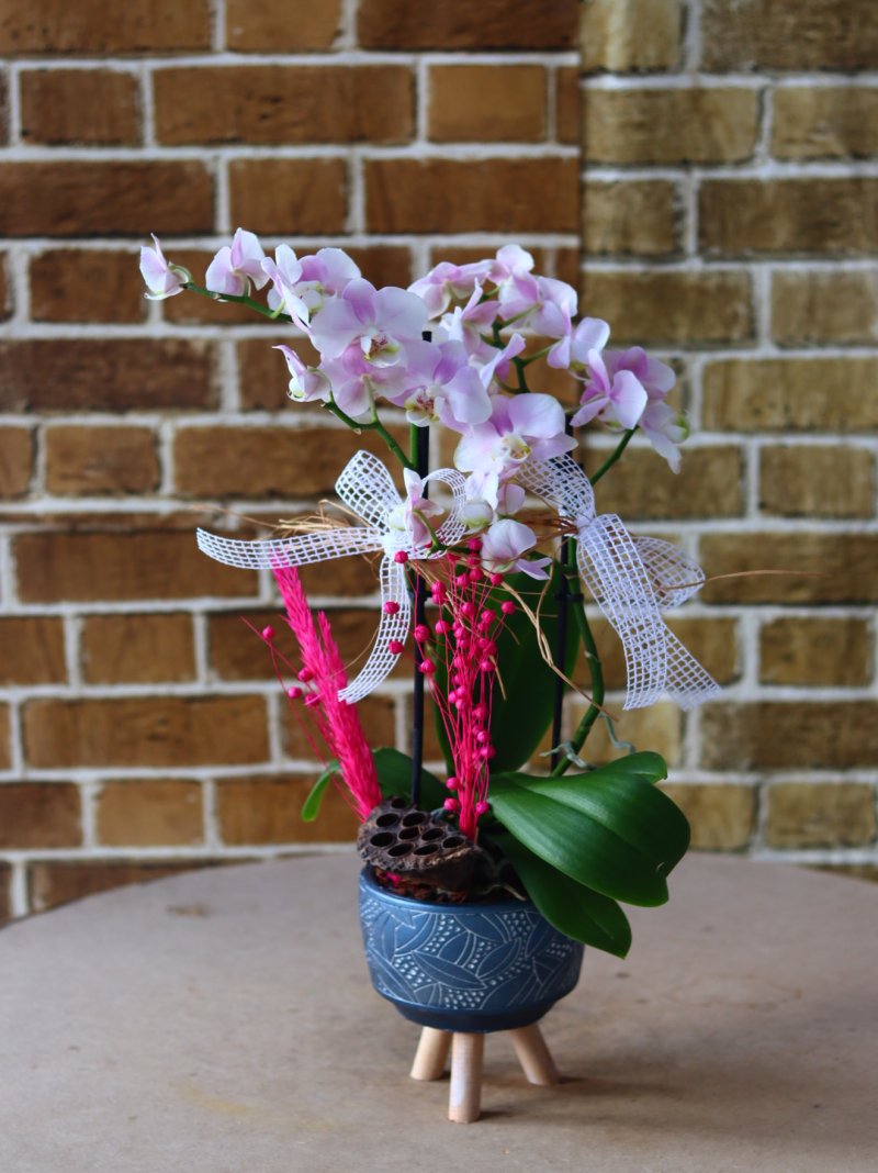 Multiflor Orkide Lila