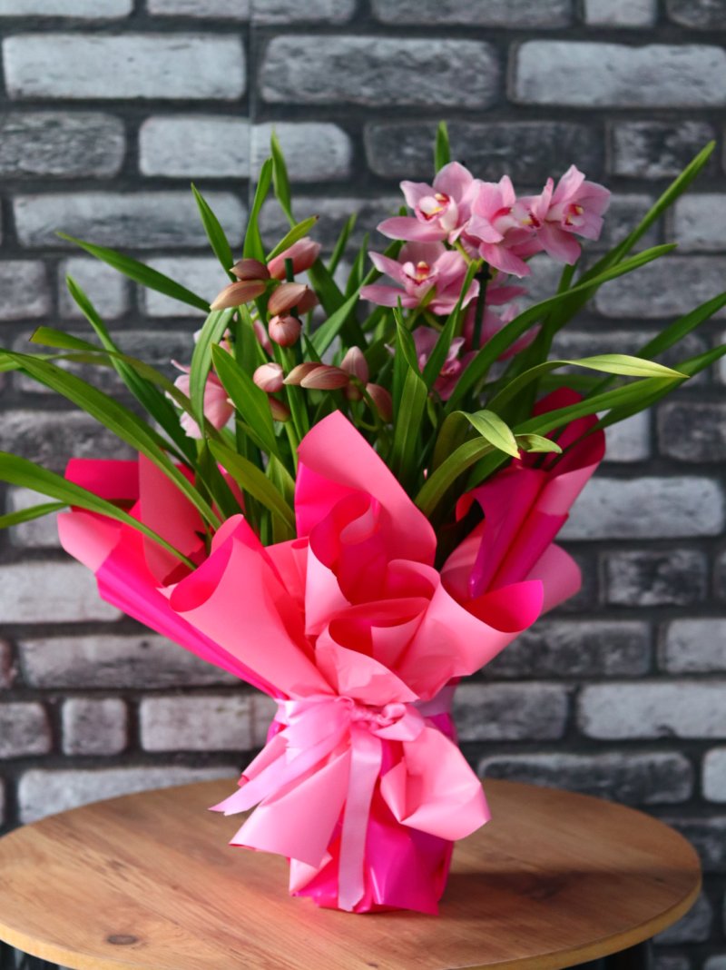 Simbidyum Pembe Orkide 