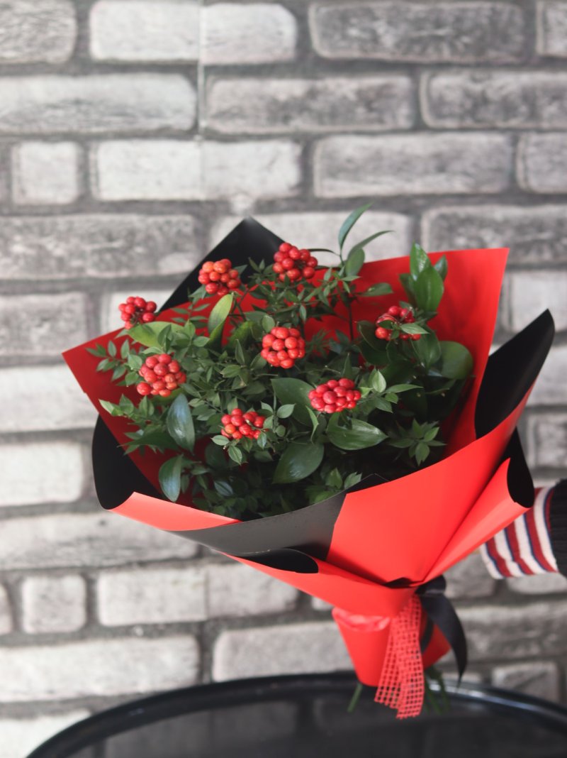 Kokina Kırmızı Tasarım