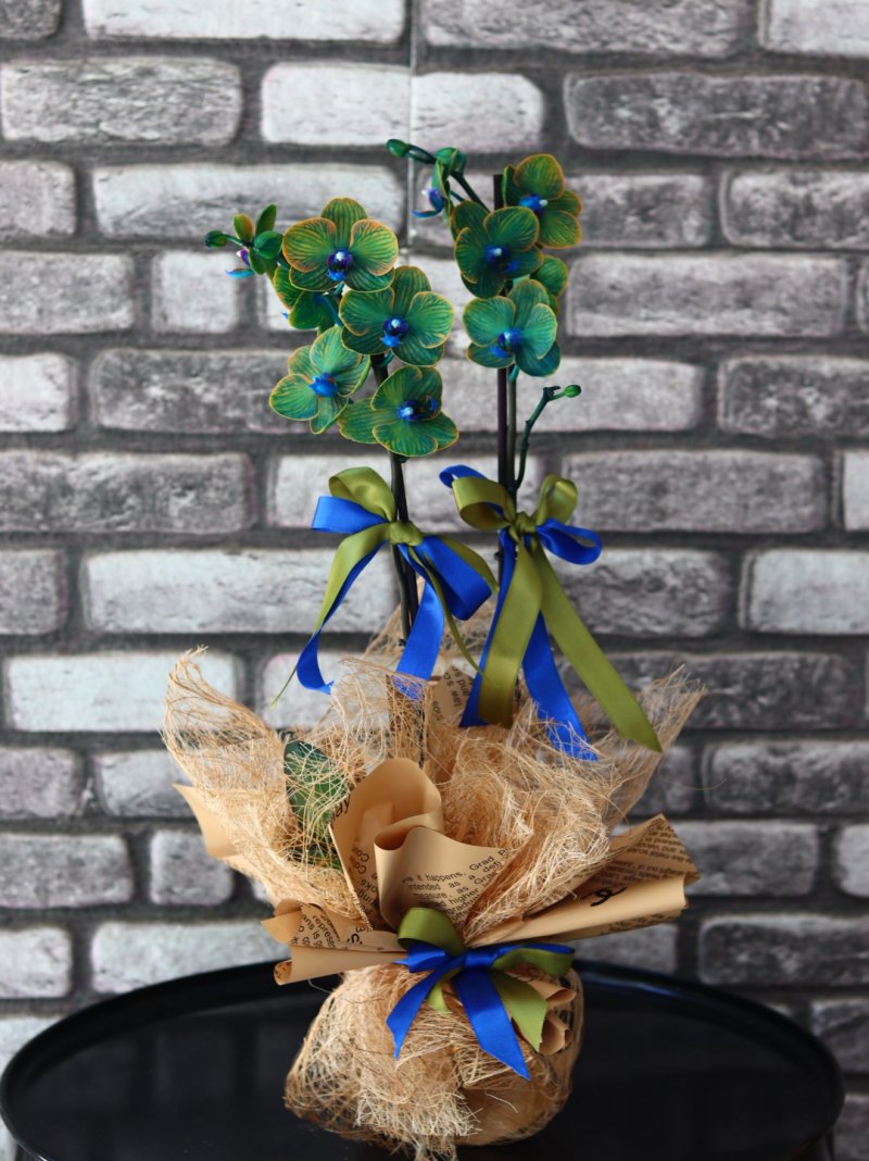Yeşil Orkide Decorium