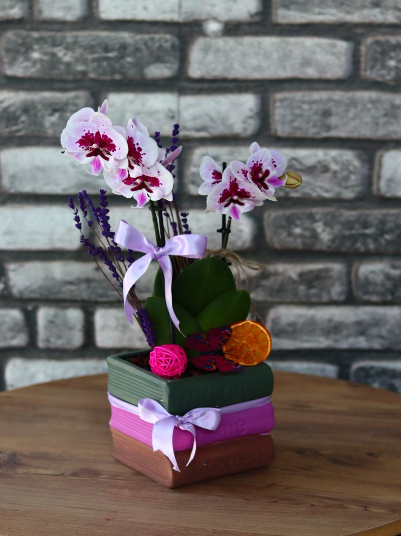 Bougetto Orkide Lila